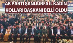 AK Parti Şanlıurfa İl Kadın Kolları Başkanı Belli Oldu