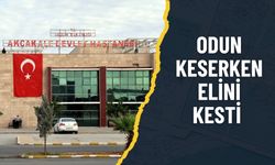 Akçakale’de Odun Keserken Yaralandı: Hastaneye Kaldırıldı