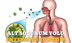 Alt Solunum Yolu Enfeksiyonu Nedir