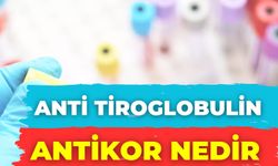 Anti Tiroglobulin Antikor Nedir