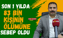 Son Bir Yılda 83 Bin Kişinin Ölümüne Sebep Oldu