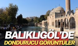 Balıklıgöl’de Dondurucu Soğukların Etkileri