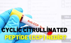 Cyclic Citrullinated Peptide (Ccp) Nedir?