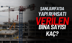 Şanlıurfa'da Yapı Ruhsatı Verilen Bina Sayısı Kaç?