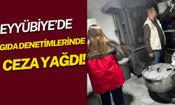 Eyyübiye’de Gıda Denetimlerinde Ceza Yağdı!