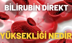 Bilirubin Direkt Yüksekliği Nedir