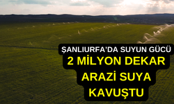 Şanlıurfa’da Suyun Gücü: 2 Milyon Dekar Arazi Suya Kavuştu