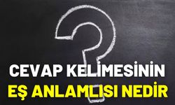 Cevap Kelimesinin Eş Anlamlısı Nedir