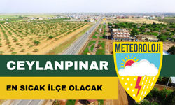 21 Şubat Şanlıurfa Ceylanpınar Hava Durumu