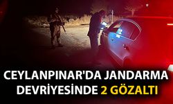 Ceylanpınar’da Jandarma Devriyesiyle 2 Şahıs Gözaltına Alındı