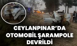 Ceylanpınar’da Otomobil Şarampole Devrildi: Yaralılar Var