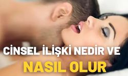 Cinsel İlişki Nedir Ve Nasıl Olur