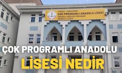 Çok Programlı Anadolu Lisesi Nedir