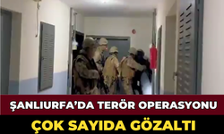 Şanlıurfa’da Terör Operasyonu: Çok Sayıda Gözaltı