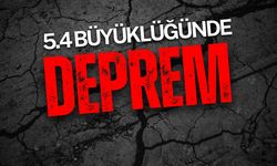 Ege Beşik Gibi Sallanıyor! 5.4 Büyüklüğünde Deprem