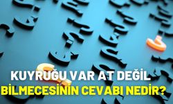 Kuyruğu Var At Değil Bilmecesinin Cevabı Nedir?