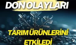 Don Olayları Tarım Ürünlerinde Fiyatları Nasıl Etkiler