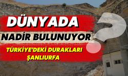 Dünyada Nadir Bulunuyor: Türkiye'deki Durakları Şanlıurfa