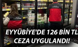 Eyyübiye'de Gıda Denetimi: 126 Bin TL Ceza Uygulandı!