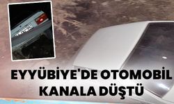 Eyyübiye’de Otomobil Kanala Düştü, Sürücü Sağ Kurtuldu