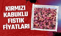 Kırmızı Kabuklu Fıstık Fiyatları