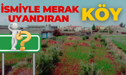 Şanlıurfa’da İsmiyle Merak Uyandıran Köy