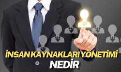 İnsan Kaynakları Yönetimi Nedir