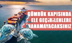 Gümrük Kapısında Ele Geçirilenlere İnanamayacaksınız