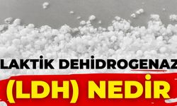 Laktik Dehidrogenaz (Ldh) Nedir