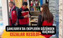 Şanlıurfa’da Ekiplerin Gözünden Kaçmadı: Cezalar Kesildi