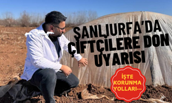 Şanlıurfa’da Çiftçilere Don Uyarısı: İşte Korunma Yolları…