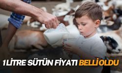 1 Litre Sütün Fiyatı Belli Oldu