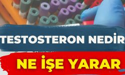 Testosteron Nedir, Ne İşe Yarar