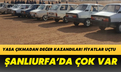 Yasa Çıkmadan Değer Kazandılar! Fiyatlar Uçtu: Şanlıurfa’da Çok Var