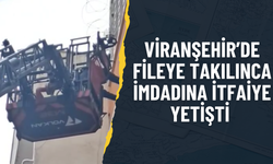 Viranşehir’de Fileye Takılınca İmdadına İtfaiye Yetişti