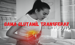 Gama Glutamil Transferaz Ggt Nedir