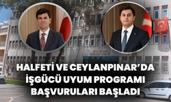 Halfeti ve Ceylanpınar'da İUP Personel Alımı Başvuruları Başladı