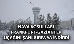 Hava Koşulları Frankfurt-Gaziantep Uçağını Şanlıurfa'ya İndirdi