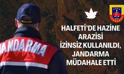 Şanlıurfa’da Jandarma, Hazine Arazisini İzinsiz Kullananı Yakaladı