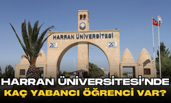 Şanlıurfa’da Kaç Yabancı Üniversiteli Var?