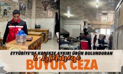 Eyyübiye’de Kodekse Aykırı Ürün Bulunduran 2 İşletmeye Büyük Ceza