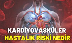 Kardiyovasküler Hastalık Riski Nedir