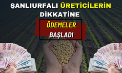 Şanlıurfalı Üreticilerin Dikkatine! Ödemeler Başladı!