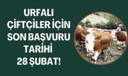 Urfalı Çiftçiler Dikkat: 28 Şubat’a Kadar Başvuru Yapabilirsiniz!