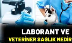 Laborant Ve Veteriner Sağlık Nedir