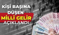 Kişi Başına Düşen Milli Gelir Açıklandı!