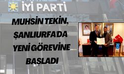 Muhsin Tekin, Şanlıurfa'ya Atandı