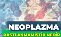 Neoplazma Rastlanmamiştir Nedir