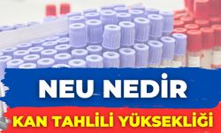 Neu Nedir Kan Tahlili Yüksekliği