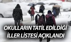 19 Şubat 2025 Çarşamba Günü Okulların Tatil Olduğu İller Listesi Açıklandı